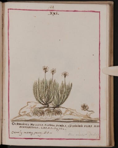 Anteprima dell'oggetto