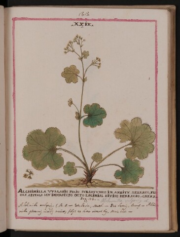 Anteprima dell'oggetto