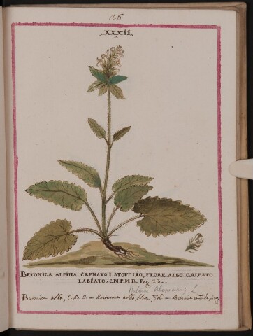 Anteprima dell'oggetto