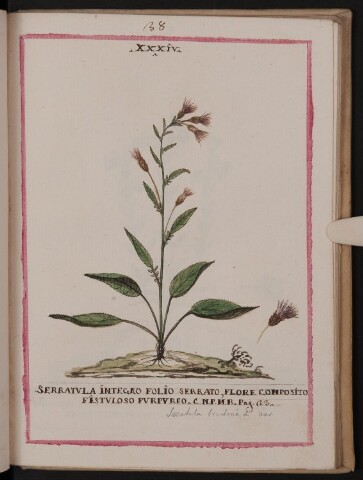 Anteprima dell'oggetto