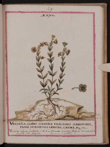 Anteprima dell'oggetto