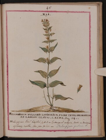 Anteprima dell'oggetto