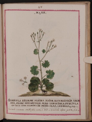 Anteprima dell'oggetto