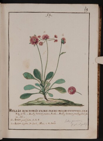 Anteprima dell'oggetto