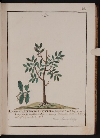 Anteprima dell'oggetto