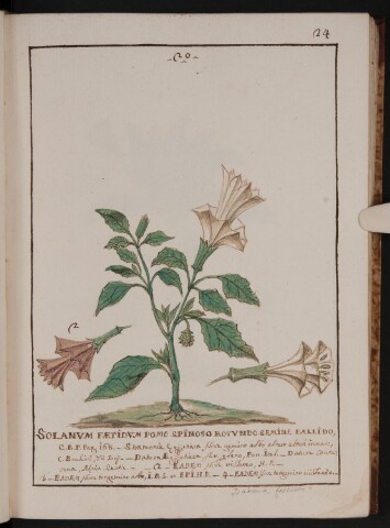 Anteprima dell'oggetto