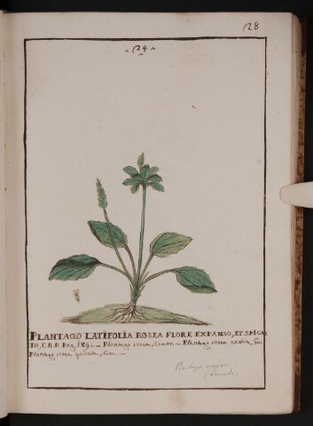 Anteprima dell'oggetto