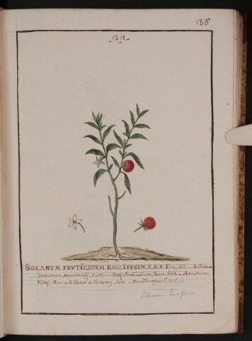 Anteprima dell'oggetto