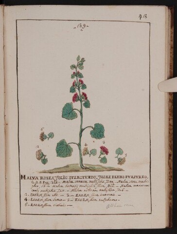 Anteprima dell'oggetto