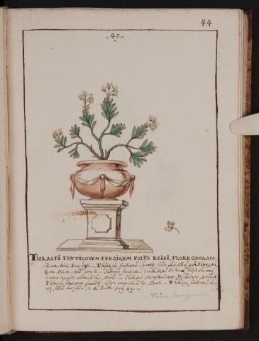 Anteprima dell'oggetto