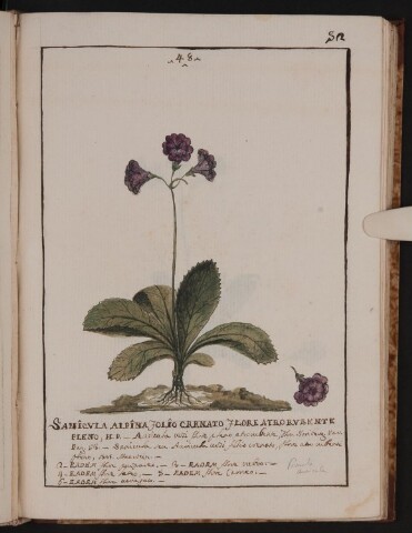 Anteprima dell'oggetto