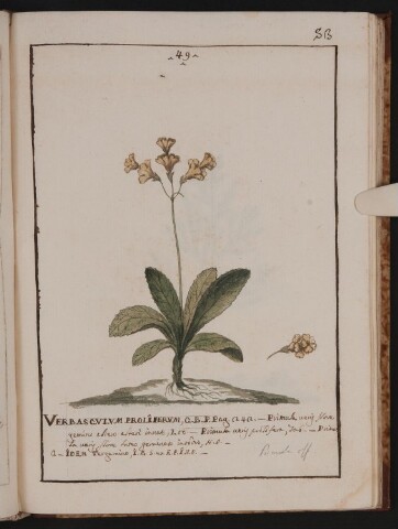 Anteprima dell'oggetto