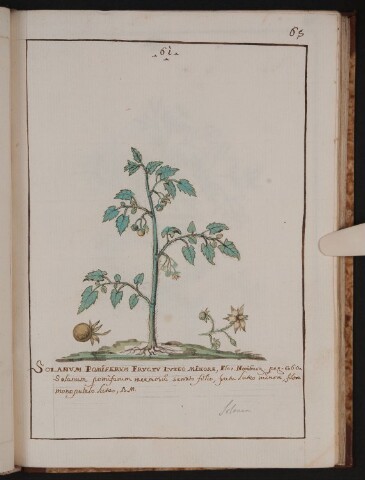 Anteprima dell'oggetto