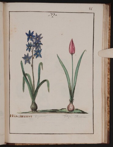 Anteprima dell'oggetto