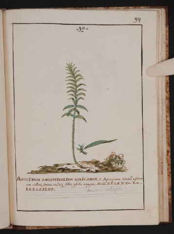 Anteprima dell'oggetto