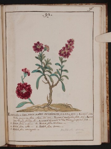 Anteprima dell'oggetto