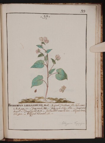 Anteprima dell'oggetto