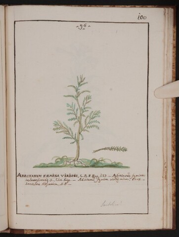 Anteprima dell'oggetto