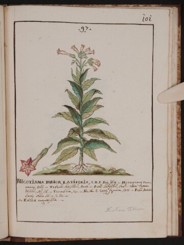 Anteprima dell'oggetto