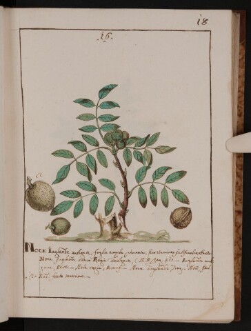 Anteprima dell'oggetto