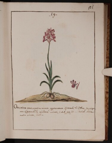 Anteprima dell'oggetto