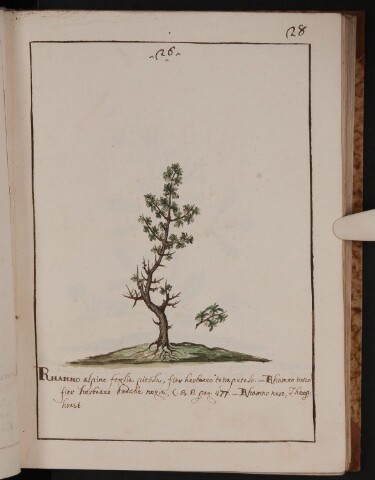 Anteprima dell'oggetto