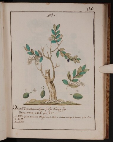 Anteprima dell'oggetto