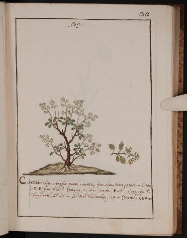 Anteprima dell'oggetto