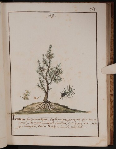 Anteprima dell'oggetto