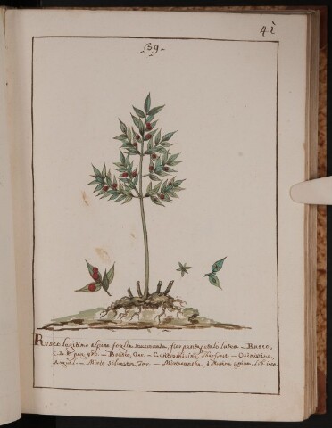 Anteprima dell'oggetto