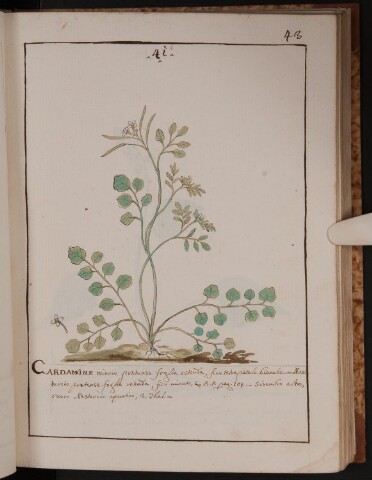 Anteprima dell'oggetto