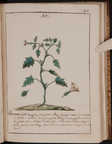 Anteprima dell'oggetto