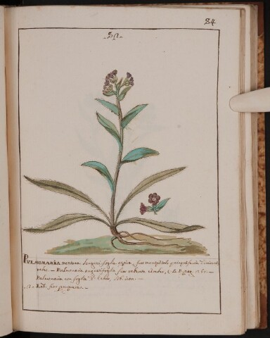 Anteprima dell'oggetto