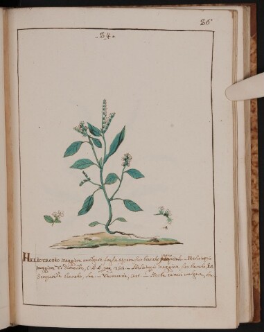 Anteprima dell'oggetto