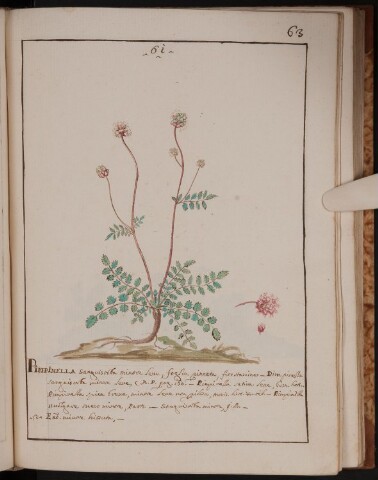 Anteprima dell'oggetto