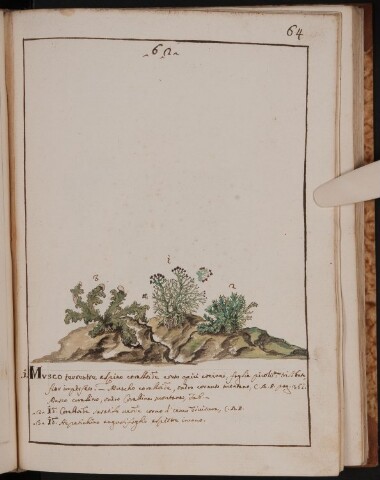 Anteprima dell'oggetto