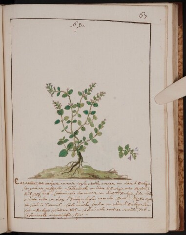 Anteprima dell'oggetto