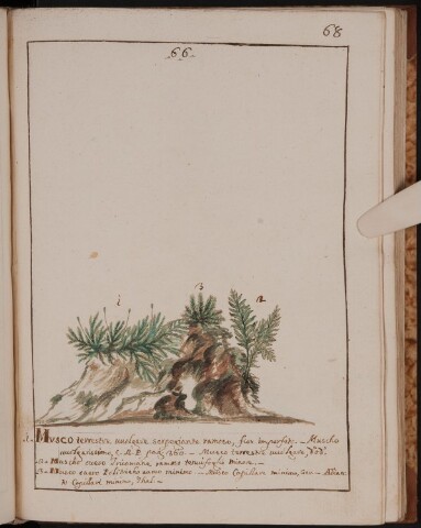 Anteprima dell'oggetto