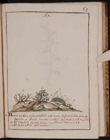 Anteprima dell'oggetto