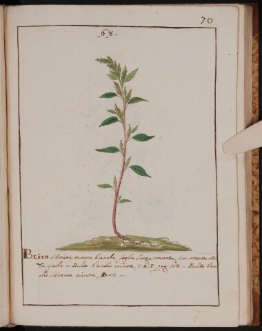 Anteprima dell'oggetto