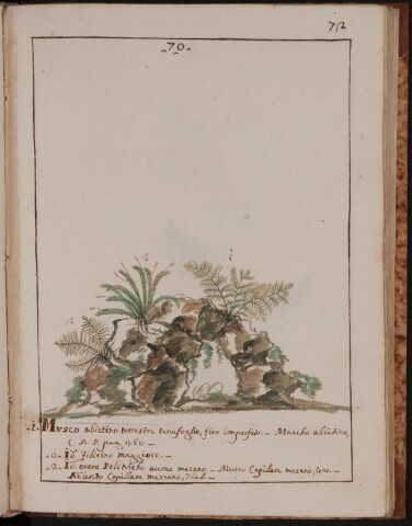 Anteprima dell'oggetto