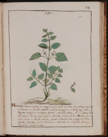 Anteprima dell'oggetto