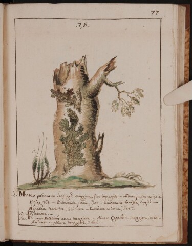 Anteprima dell'oggetto