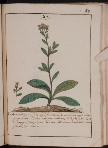 Anteprima dell'oggetto