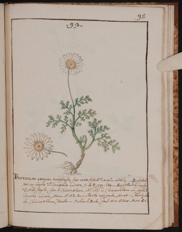 Anteprima dell'oggetto