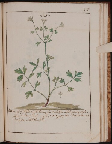 Anteprima dell'oggetto