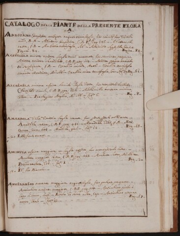 Anteprima dell'oggetto