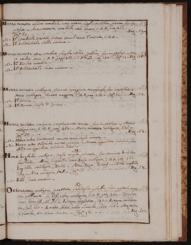 Anteprima dell'oggetto