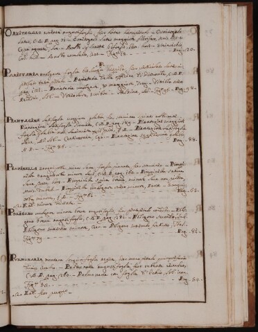 Anteprima dell'oggetto