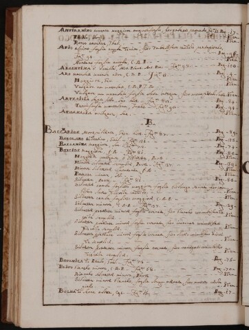 Anteprima dell'oggetto